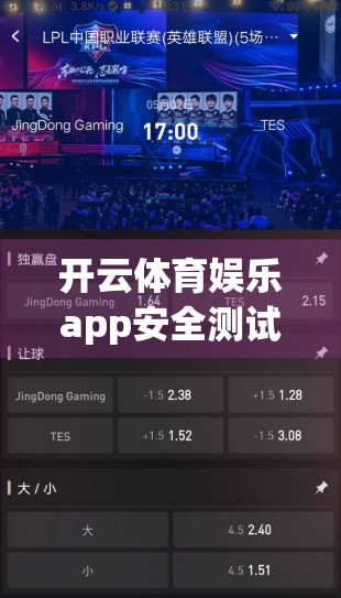 开云体育娱乐app安全测试与漏洞修复指南，从风险识别到全面防护的实战攻略