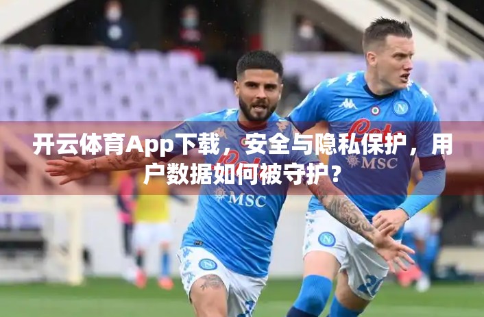 开云体育App下载，安全与隐私保护，用户数据如何被守护？