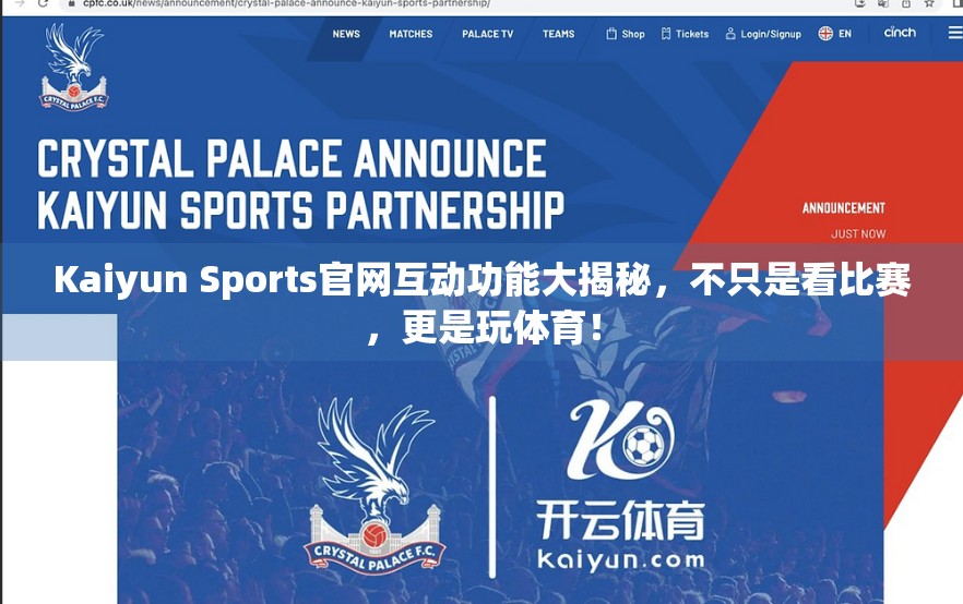 Kaiyun Sports官网互动功能大揭秘，不只是看比赛，更是玩体育！