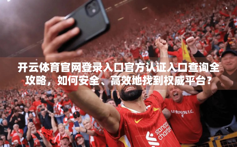 开云体育官网登录入口官方认证入口查询全攻略，如何安全、高效地找到权威平台？