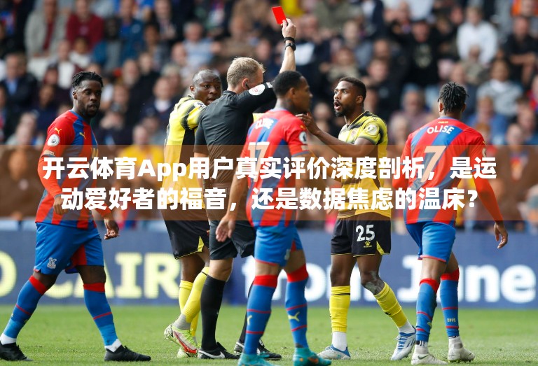 开云体育App用户真实评价深度剖析，是运动爱好者的福音，还是数据焦虑的温床？