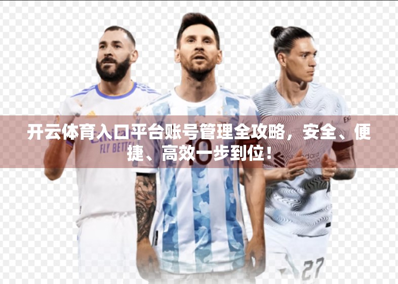 开云体育入口平台账号管理全攻略，安全、便捷、高效一步到位！