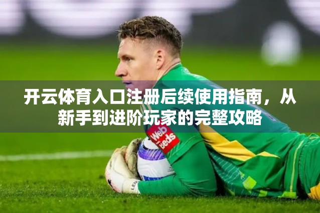 开云体育入口注册后续使用指南，从新手到进阶玩家的完整攻略