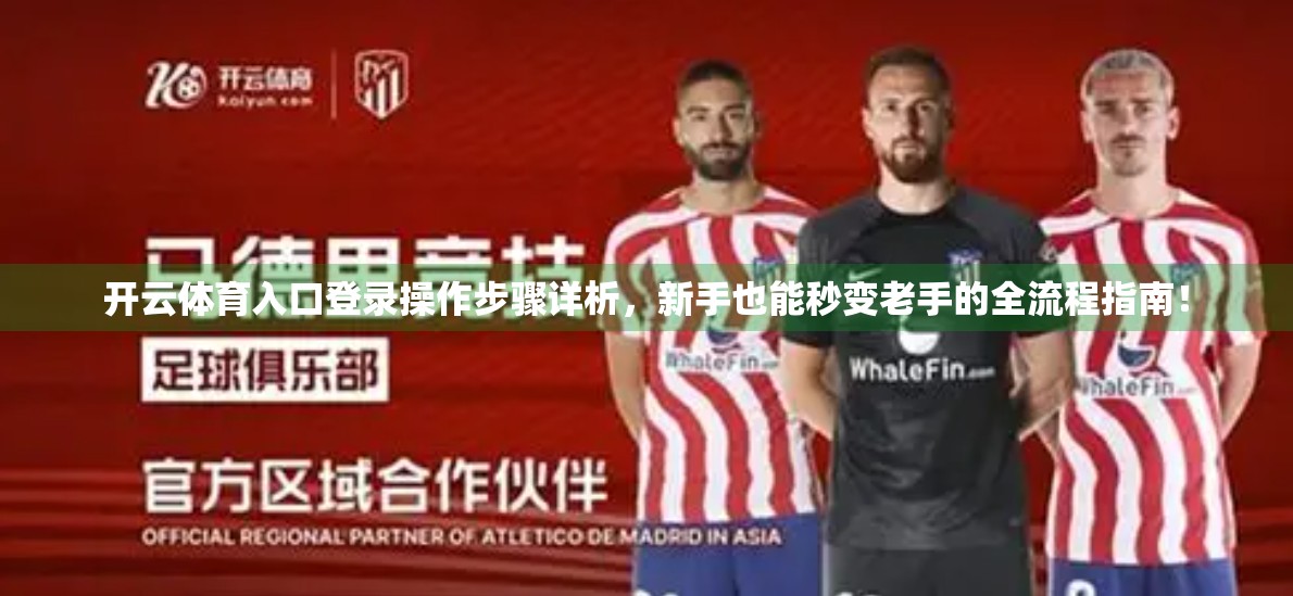 开云体育入口登录操作步骤详析，新手也能秒变老手的全流程指南！