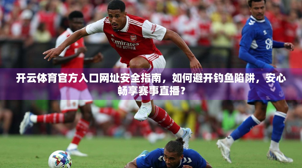 开云体育官方入口网址安全指南，如何避开钓鱼陷阱，安心畅享赛事直播？