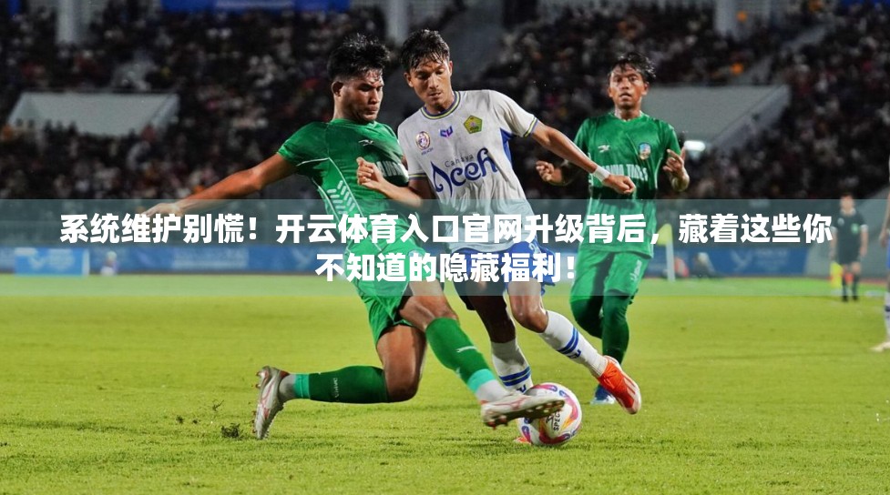系统维护别慌！开云体育入口官网升级背后，藏着这些你不知道的隐藏福利！