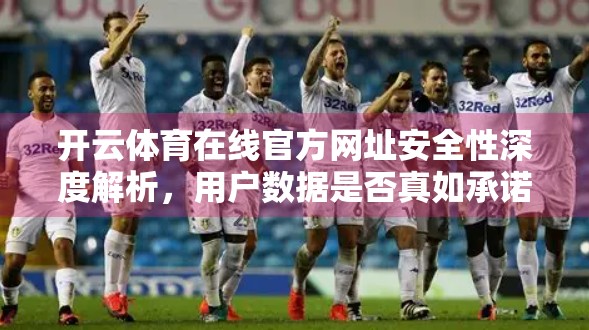 开云体育在线官方网址安全性深度解析，用户数据是否真如承诺般安全？