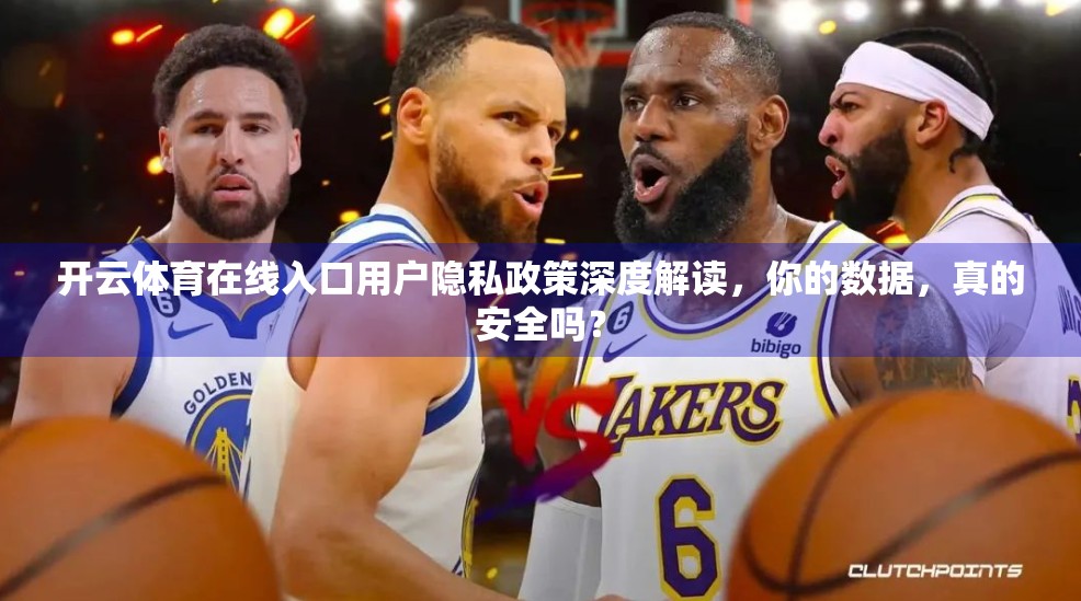 开云体育在线入口用户隐私政策深度解读，你的数据，真的安全吗？