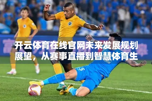 开云体育在线官网未来发展规划展望，从赛事直播到智慧体育生态的跃迁之路