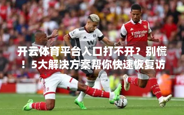 开云体育平台入口打不开？别慌！5大解决方案帮你快速恢复访问！