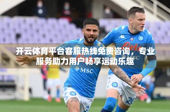 开云体育平台客服热线免费咨询，专业服务助力用户畅享运动乐趣