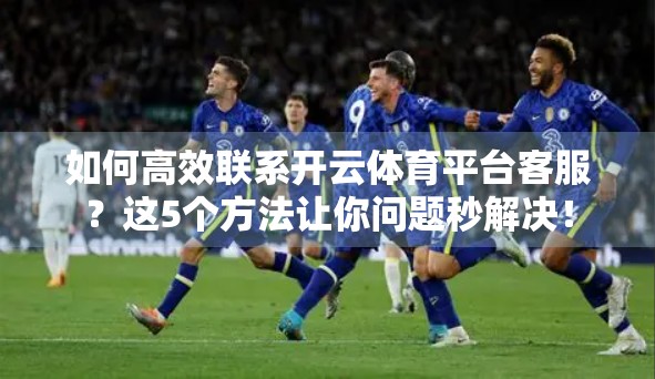 如何高效联系开云体育平台客服？这5个方法让你问题秒解决！