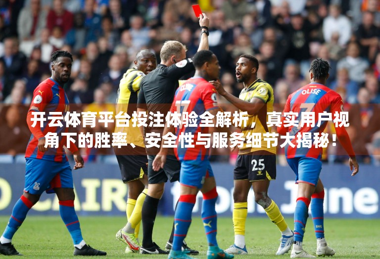 开云体育平台投注体验全解析，真实用户视角下的胜率、安全性与服务细节大揭秘！