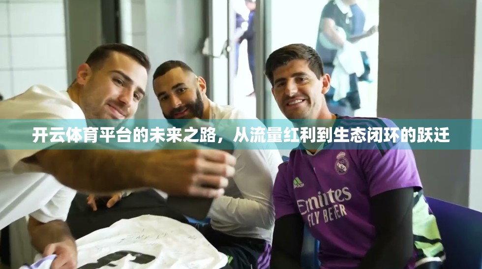开云体育平台的未来之路，从流量红利到生态闭环的跃迁