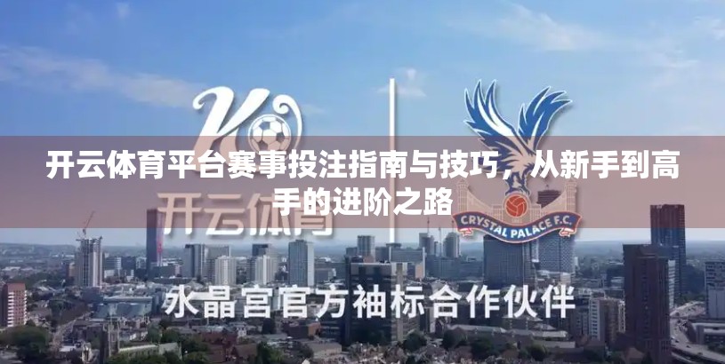 开云体育平台赛事投注指南与技巧，从新手到高手的进阶之路