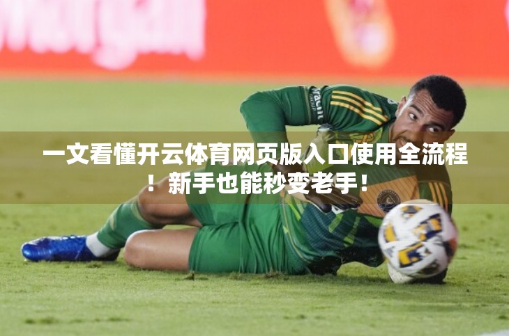 一文看懂开云体育网页版入口使用全流程！新手也能秒变老手！