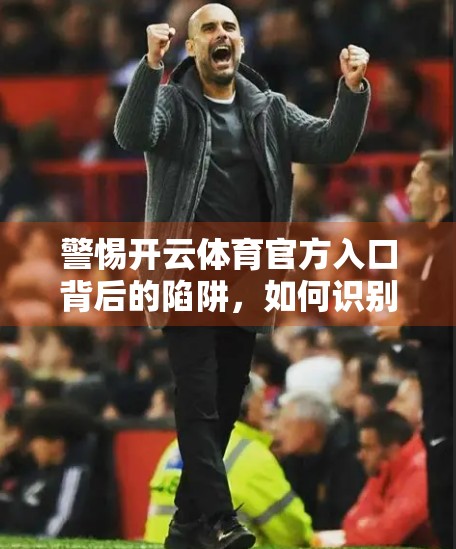 警惕开云体育官方入口背后的陷阱，如何识别真假官网，守护你的账号与财产安全？