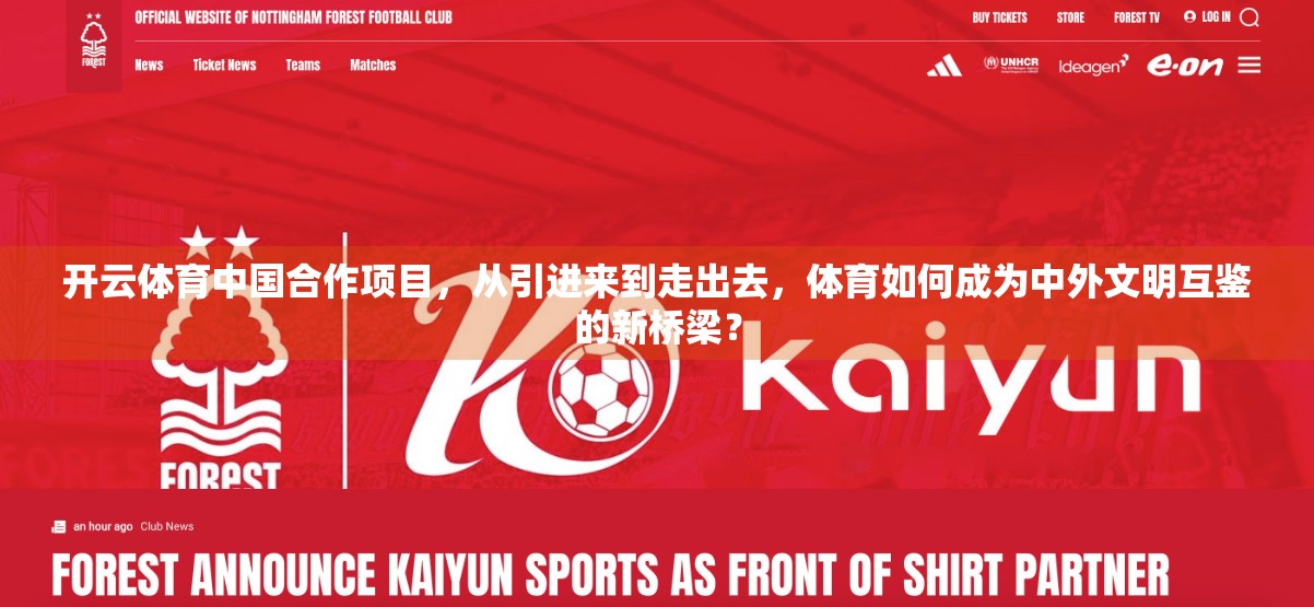 开云体育中国合作项目，从引进来到走出去，体育如何成为中外文明互鉴的新桥梁？