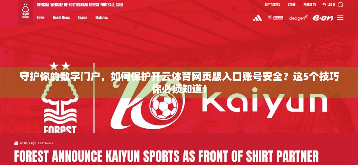 守护你的数字门户，如何保护开云体育网页版入口账号安全？这5个技巧你必须知道！
