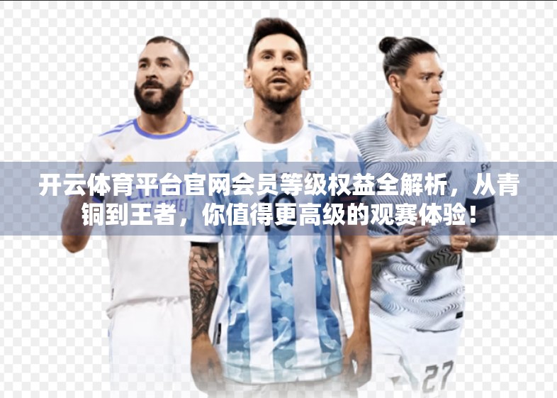 开云体育平台官网会员等级权益全解析，从青铜到王者，你值得更高级的观赛体验！