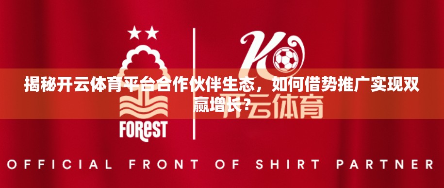 揭秘开云体育平台合作伙伴生态，如何借势推广实现双赢增长？