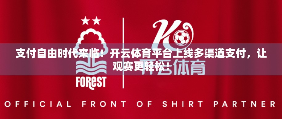 支付自由时代来临！开云体育平台上线多渠道支付，让观赛更轻松！