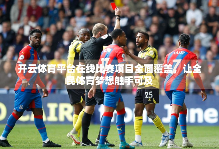 开云体育平台在线比赛项目全面覆盖，让全民体育梦想触手可及