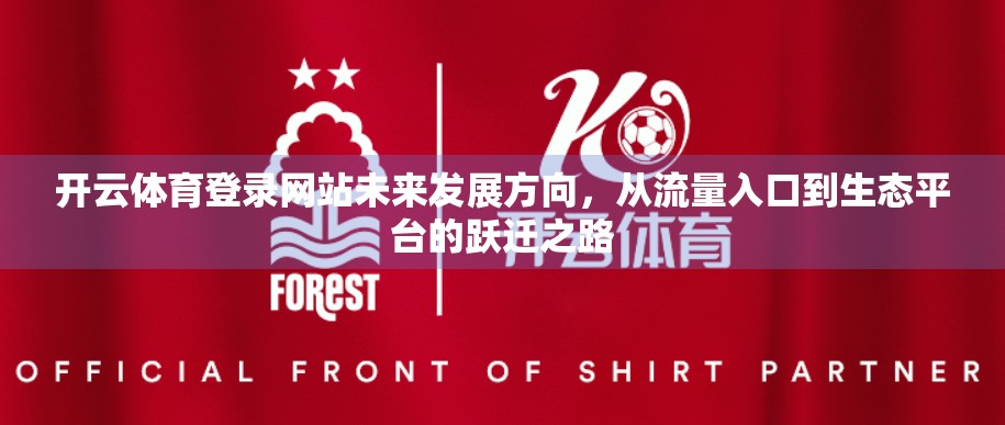 开云体育登录网站未来发展方向，从流量入口到生态平台的跃迁之路