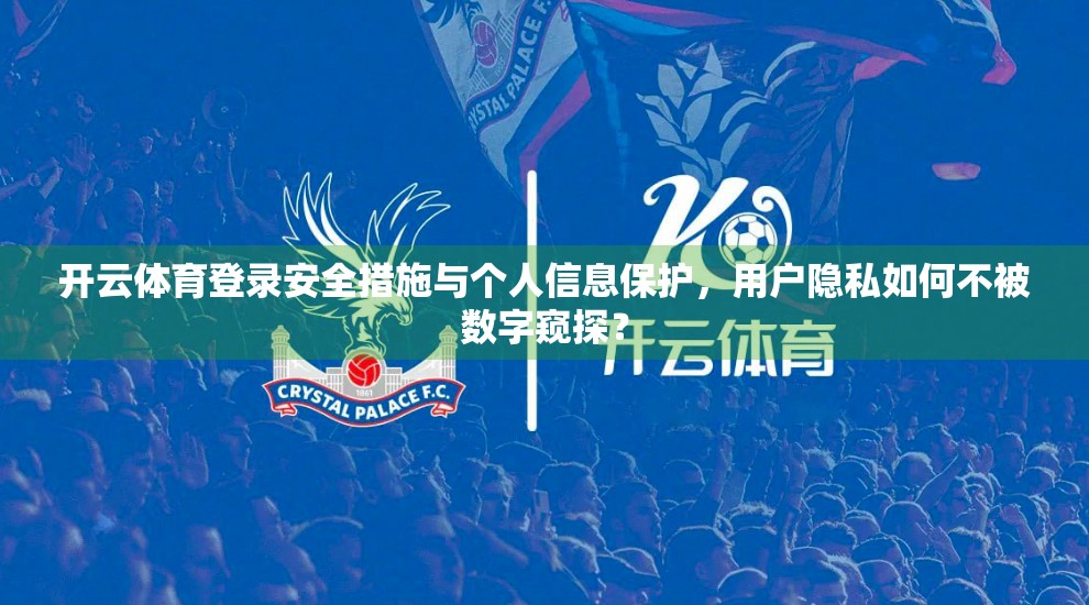 开云体育登录安全措施与个人信息保护，用户隐私如何不被数字窥探？