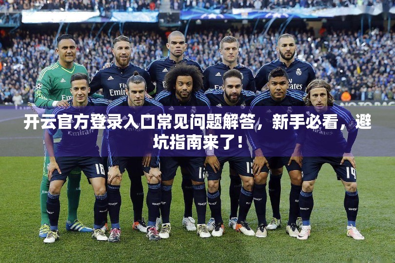 开云官方登录入口常见问题解答，新手必看，避坑指南来了！
