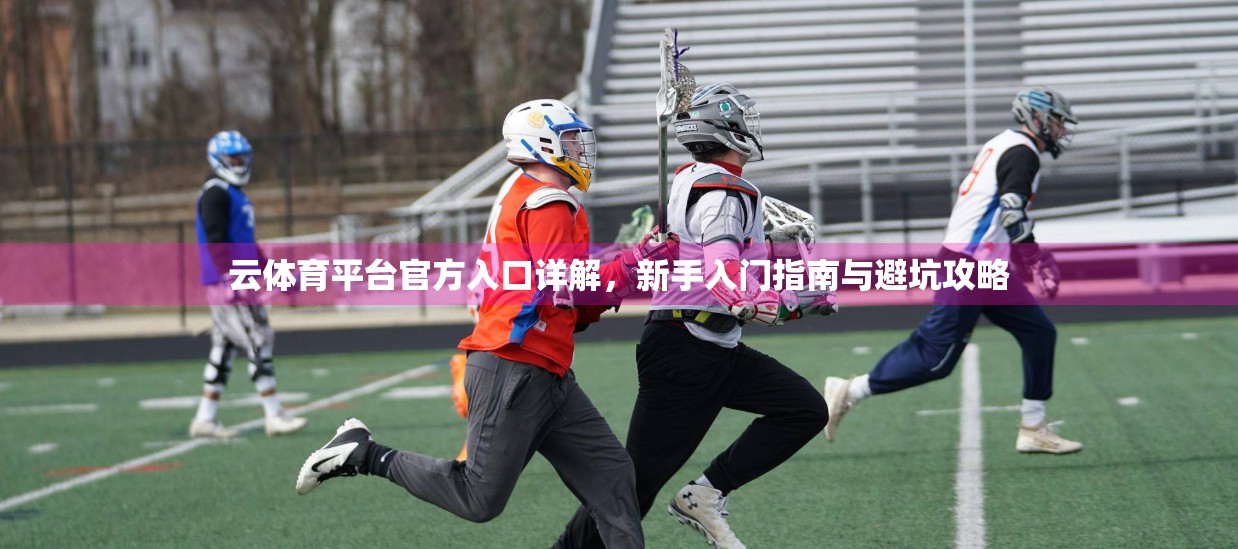 云体育平台官方入口详解，新手入门指南与避坑攻略
