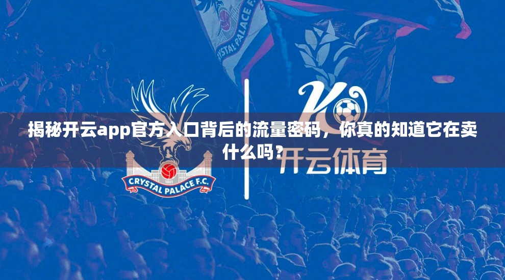揭秘开云app官方入口背后的流量密码，你真的知道它在卖什么吗？