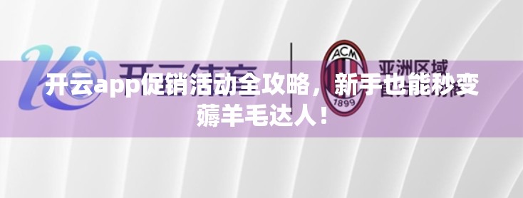 开云app促销活动全攻略，新手也能秒变薅羊毛达人！