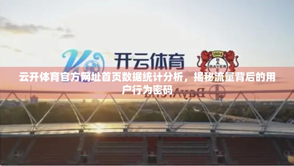 云开体育官方网址首页数据统计分析，揭秘流量背后的用户行为密码