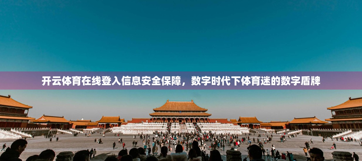 开云体育在线登入信息安全保障，数字时代下体育迷的数字盾牌