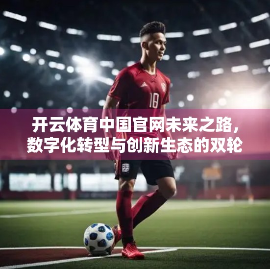 开云体育中国官网未来之路，数字化转型与创新生态的双轮驱动