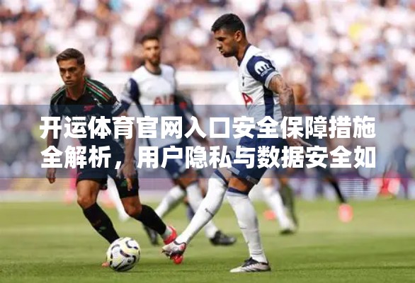 开运体育官网入口安全保障措施全解析，用户隐私与数据安全如何筑起铜墙铁壁？