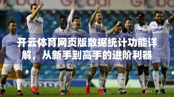 开云体育网页版数据统计功能详解，从新手到高手的进阶利器