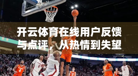 开云体育在线用户反馈与点评，从热情到失望，平台如何重塑用户体验？